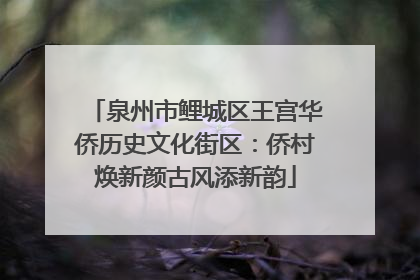 泉州市鲤城区王宫华侨历史文化街区：侨村焕新颜古风添新韵