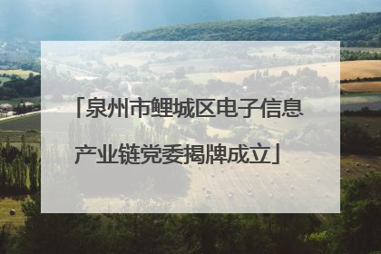 泉州市鲤城区电子信息产业链党委揭牌成立