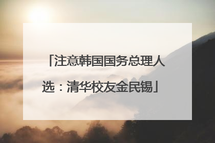 注意韩国国务总理人选：清华校友金民锡
