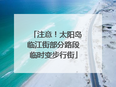 注意！太阳岛临江街部分路段临时变步行街