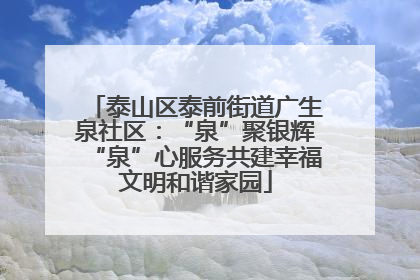 泰山区泰前街道广生泉社区：“泉”聚银辉“泉”心服务共建幸福文明和谐家园