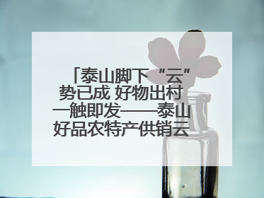 泰山脚下“云”势已成 好物出村一触即发——泰山好品农特产供销云仓即将启用
