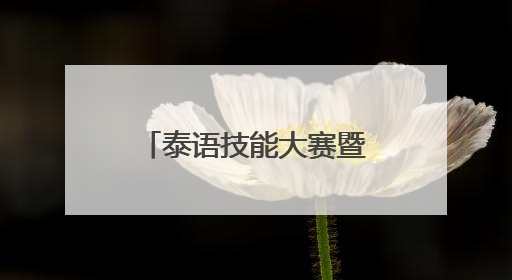 泰语技能大赛暨第十八届广西高校学生泰语演讲公开赛在南宁举办