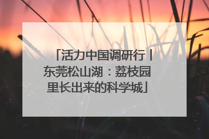 活力中国调研行丨东莞松山湖：荔枝园里长出来的科学城