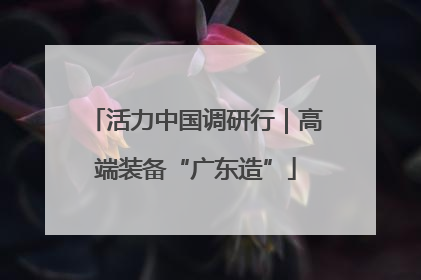 活力中国调研行｜高端装备“广东造”