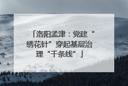 洛阳孟津：党建“绣花针”穿起基层治理“千条线”