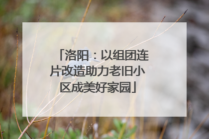 洛阳：以组团连片改造助力老旧小区成美好家园
