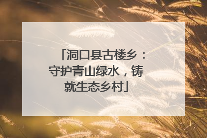 洞口县古楼乡：守护青山绿水，铸就生态乡村
