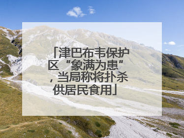 津巴布韦保护区“象满为患”，当局称将扑杀供居民食用