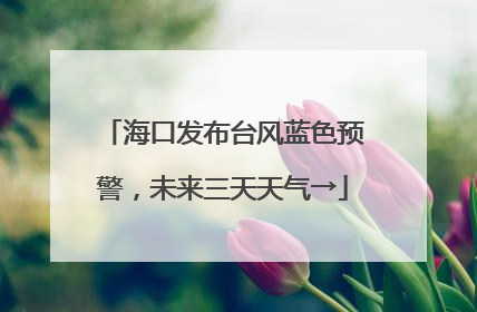 海口发布台风蓝色预警，未来三天天气→