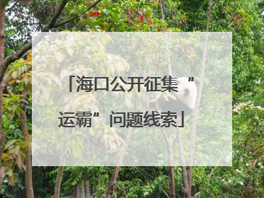 海口公开征集“运霸”问题线索