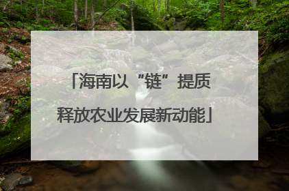 海南以“链”提质 释放农业发展新动能