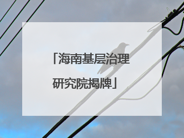 海南基层治理研究院揭牌