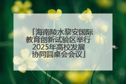 海南陵水黎安国际教育创新试验区举行2025年高校发展协同圆桌会会议