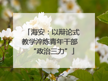 海安：以辩论式教学淬炼青年干部“政治三力”