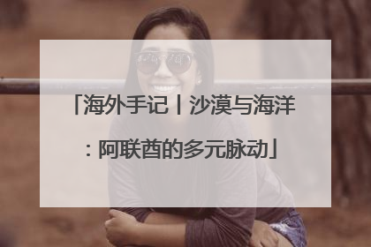 海外手记丨沙漠与海洋：阿联酋的多元脉动
