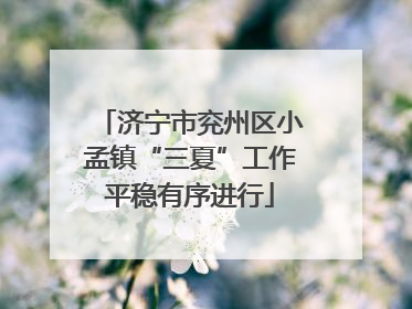 济宁市兖州区小孟镇“三夏”工作平稳有序进行