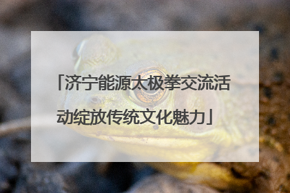 济宁能源太极拳交流活动绽放传统文化魅力