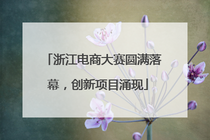浙江电商大赛圆满落幕，创新项目涌现