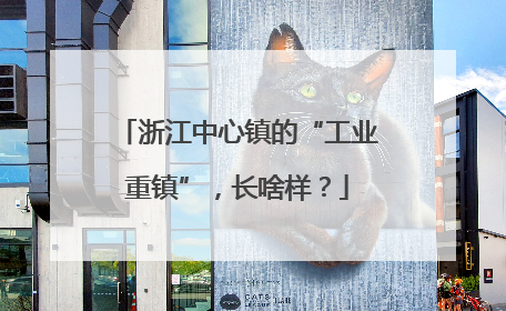 浙江中心镇的“工业重镇”，长啥样？