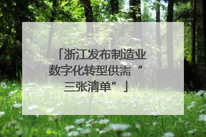 浙江发布制造业数字化转型供需“三张清单”