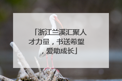 浙江兰溪汇聚人才力量，书送希望，爱助成长