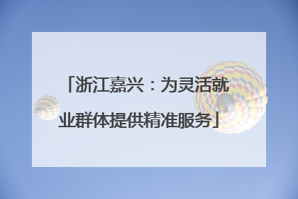 浙江嘉兴：为灵活就业群体提供精准服务