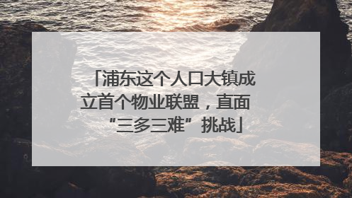 浦东这个人口大镇成立首个物业联盟，直面“三多三难”挑战