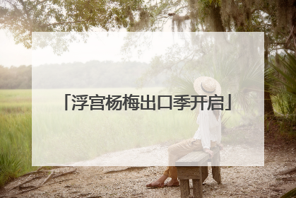 浮宫杨梅出口季开启