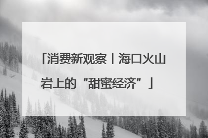 消费新观察丨海口火山岩上的“甜蜜经济”