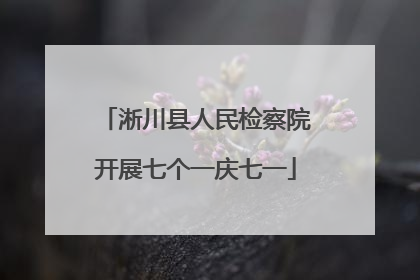 淅川县人民检察院开展七个一庆七一