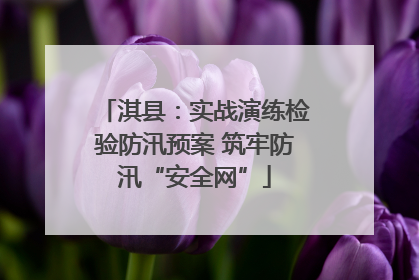 淇县：实战演练检验防汛预案 筑牢防汛“安全网”