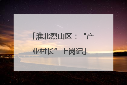 淮北烈山区：“产业村长”上岗记