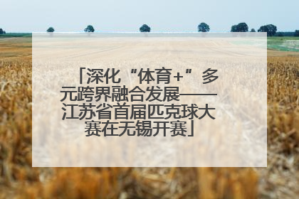深化“体育+”多元跨界融合发展——江苏省首届匹克球大赛在无锡开赛