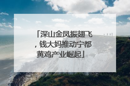 深山金凤振翅飞，钱大妈推动宁都黄鸡产业崛起
