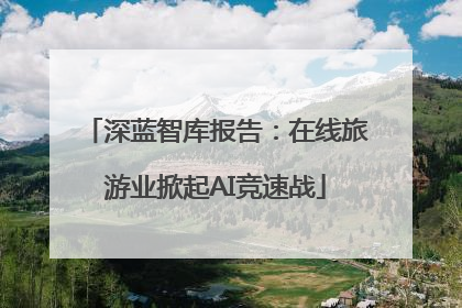 深蓝智库报告：在线旅游业掀起AI竞速战