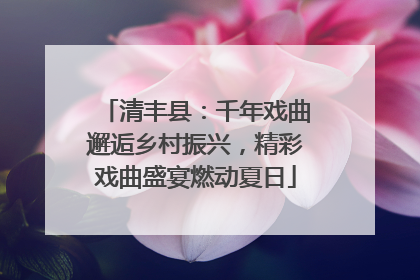 清丰县：千年戏曲邂逅乡村振兴，精彩戏曲盛宴燃动夏日