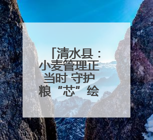 清水县：小麦管理正当时 守护粮“芯”绘丰景