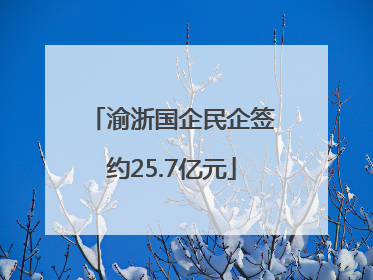 渝浙国企民企签约25.7亿元