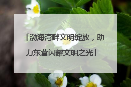 渤海湾畔文明绽放，助力东营闪耀文明之光