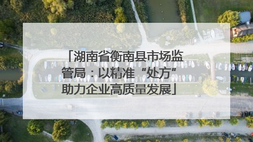 湖南省衡南县市场监管局：以精准“处方”助力企业高质量发展