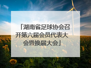 湖南省足球协会召开第六届会员代表大会暨换届大会