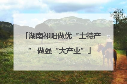 湖南祁阳做优“土特产” 做强“大产业”