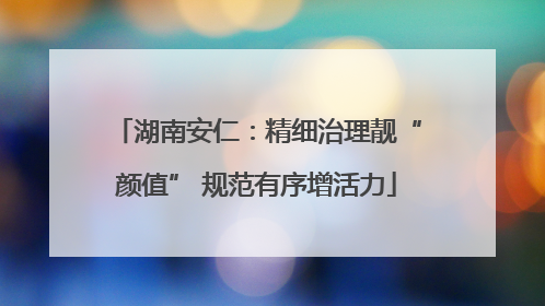 湖南安仁：精细治理靓“颜值” 规范有序增活力
