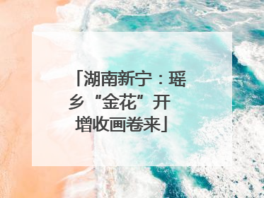 湖南新宁：瑶乡“金花”开 增收画卷来