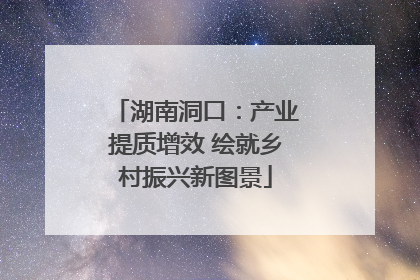 湖南洞口：产业提质增效 绘就乡村振兴新图景