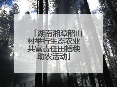 湖南湘潭韶山村举行生态农业共富责任田插秧助农活动
