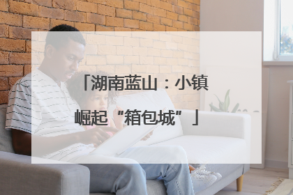 湖南蓝山：小镇崛起“箱包城”