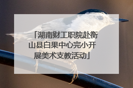 湖南财工职院赴衡山县白果中心完小开展美术支教活动
