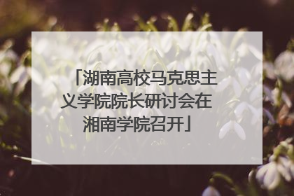 湖南高校马克思主义学院院长研讨会在湘南学院召开
